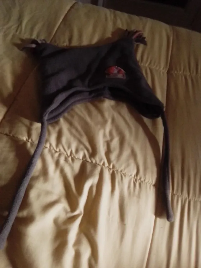 Bonnet