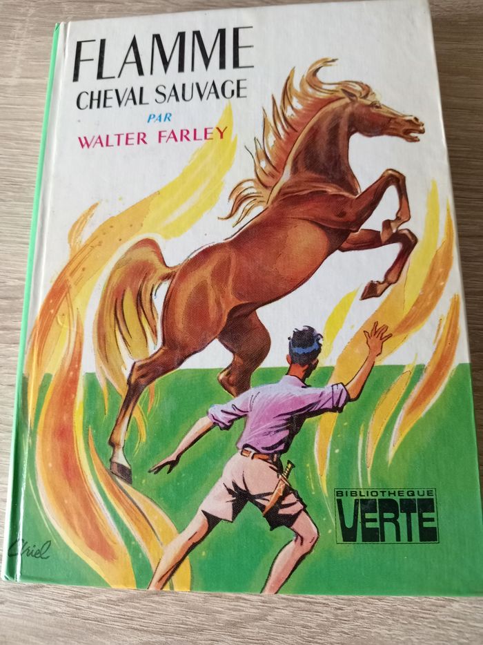 Flamme cheval sauvage