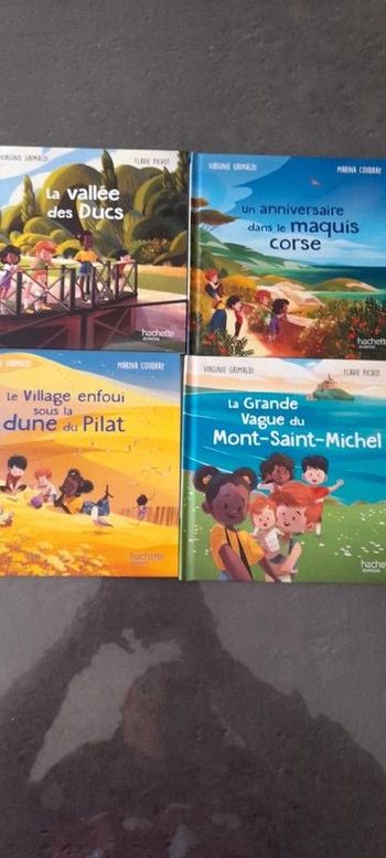 Lot de 4 livres Hachette jeunesse- Merveilles de France