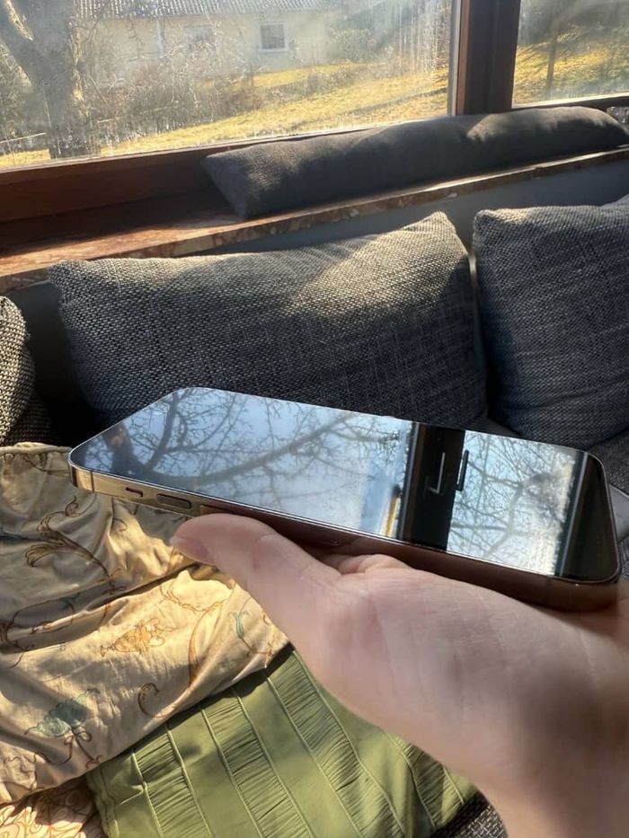 iPhone 13 pro max - photo numéro 4