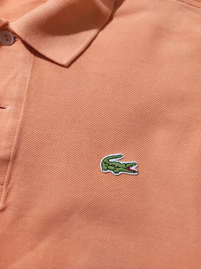 Polo Lacoste T 5 ou L - photo numéro 4