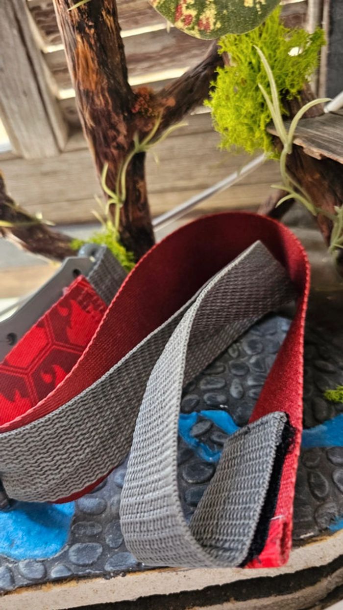 Super ceinture pour pokeball pour figurine Pokemon Nintendo - photo numéro 4