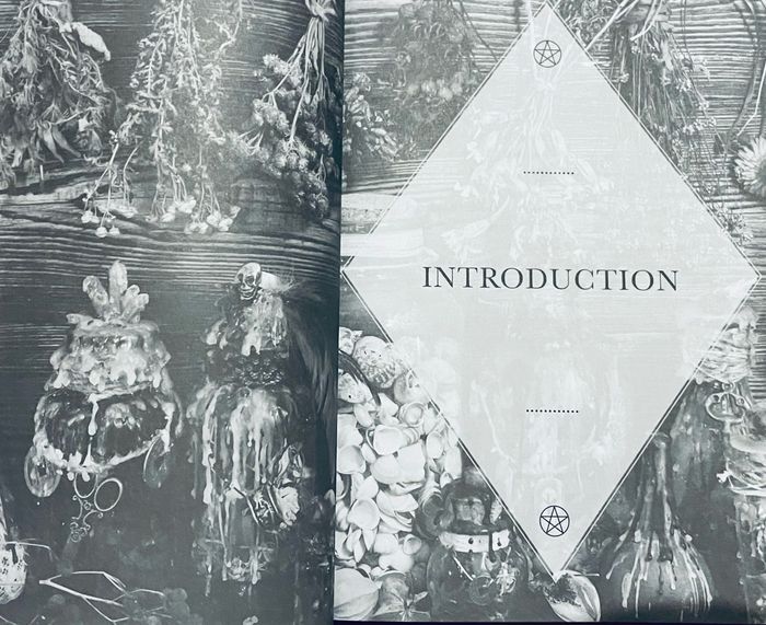 Au coeur de la Wicca éclectique - Initiez-vous à une magie naturelle et libératrice Diane Addams - photo numéro 8