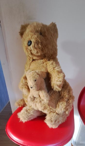 Kangourou et son petit