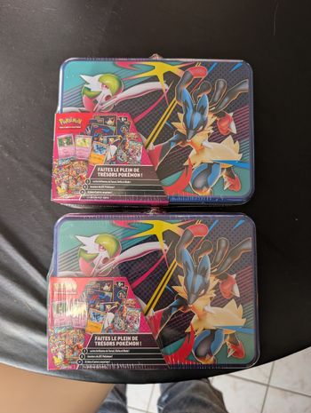 Pokémon 2 valisettes méga évolution