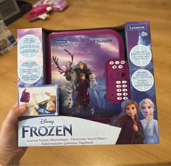 Carnet secret reine des neiges