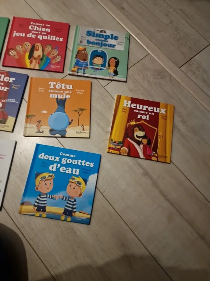 Lot livres Mac Do Thème C'est comme ça - photo numéro 3