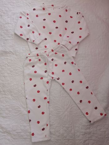 Joli ensemble petites pommes 🍎 