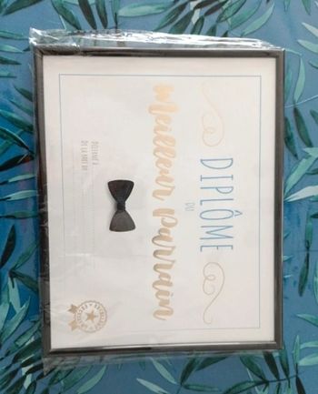 Diplôme meilleur parrain