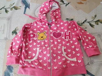 Veste ou sweet à capuche 12 mois