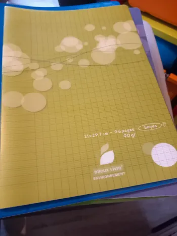 Cahier polypro 21x29,7 grands carreaux 96 pages