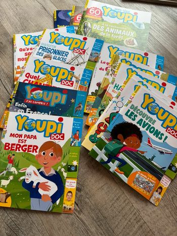 Lot 14 magazines youpi