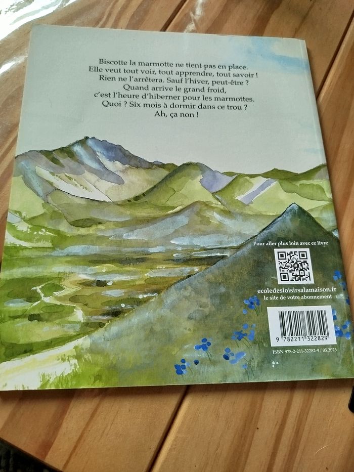 Petite marmotte à la bougeotte - photo numéro 6