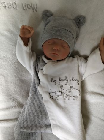 Bébé reborn 
