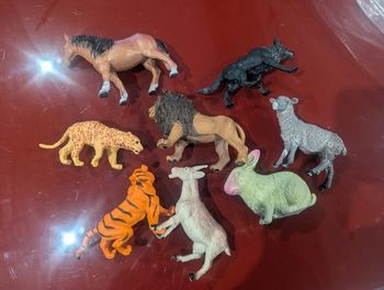 Lot animaux