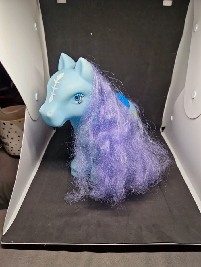 Poney - photo numéro 2