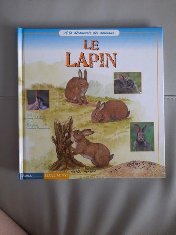Le lapin - a la découverte des animaux