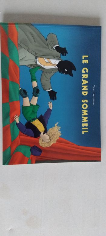 Le grand sommeil