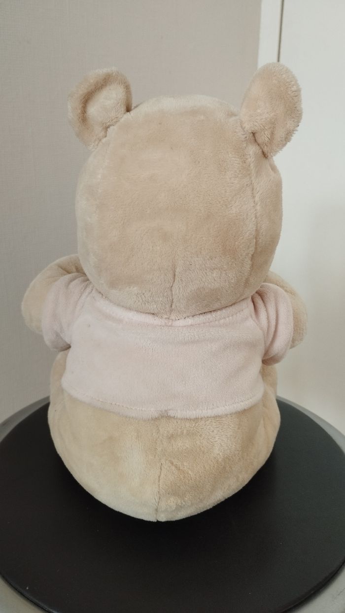 Winnie l'ourson de Disneyland - photo numéro 3
