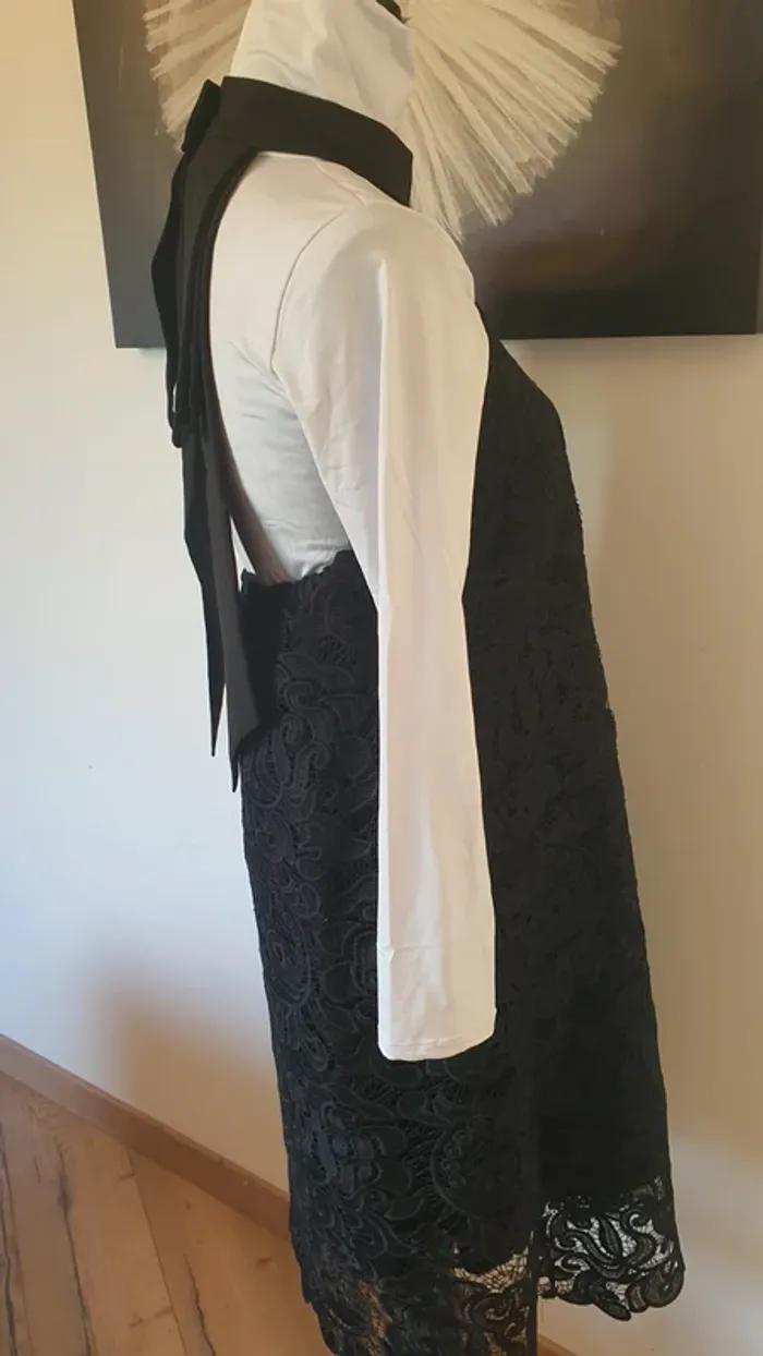 Robe dos nu - photo numéro 4