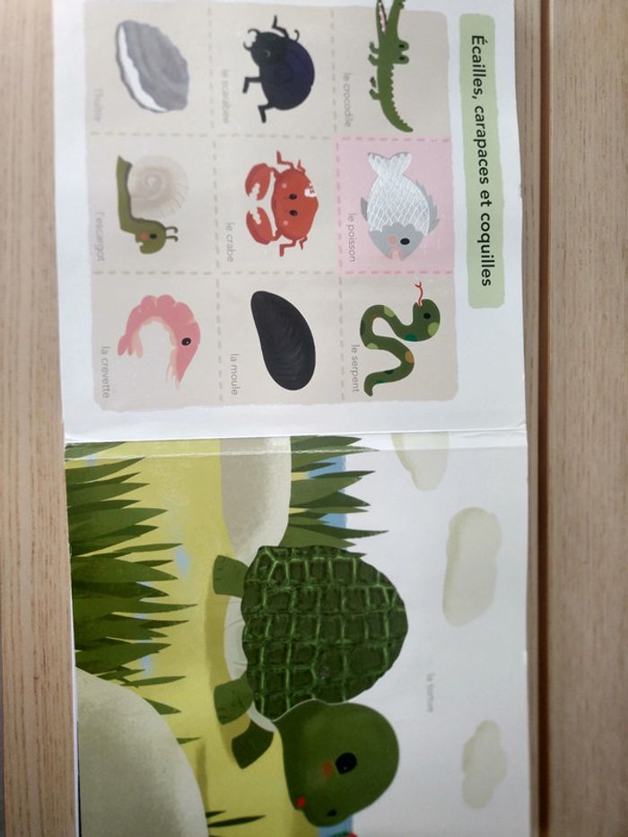 Grand imagier à toucher - photo numéro 14