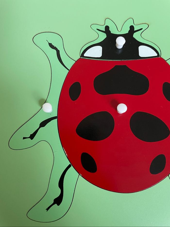 Puzzle Zoologie Montessori : la coccinelle - photo numéro 2