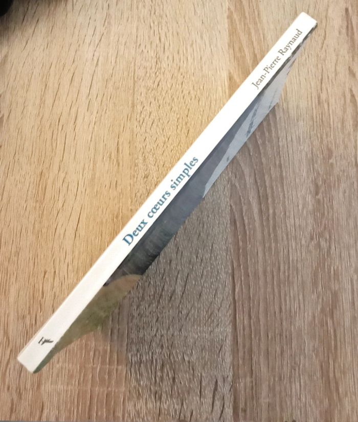 Jean-Pierre Raynaud 🪅 Deux cœurs simples - photo numéro 3