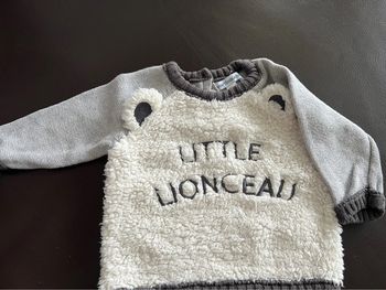 Pull little lionceau