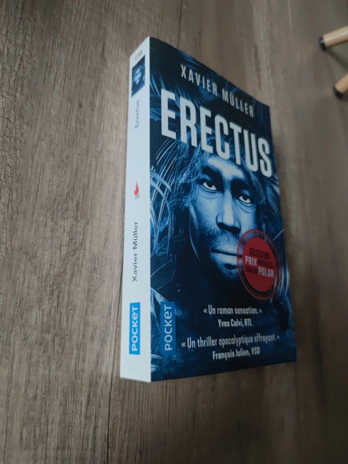 Erectus - photo numéro 2