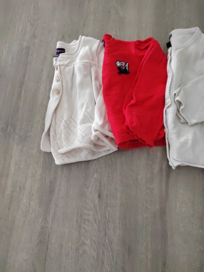 Lot de gilets - photo numéro 2