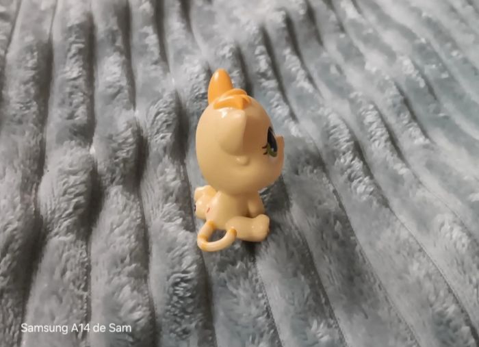 Petshop  chat 1649 - photo numéro 2