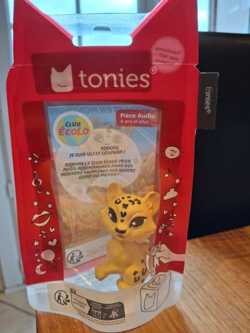 Tonies sauvetages en montagne 