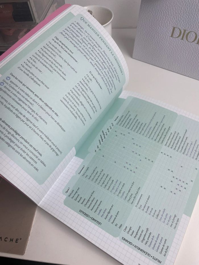 Le cahier grossesse des paresseuses - photo numéro 3