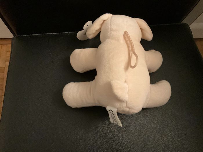 Chien - photo numéro 4