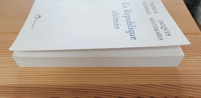 La République abîmée - Patrice Duhamel & Jacques Santamaria - photo numéro 4