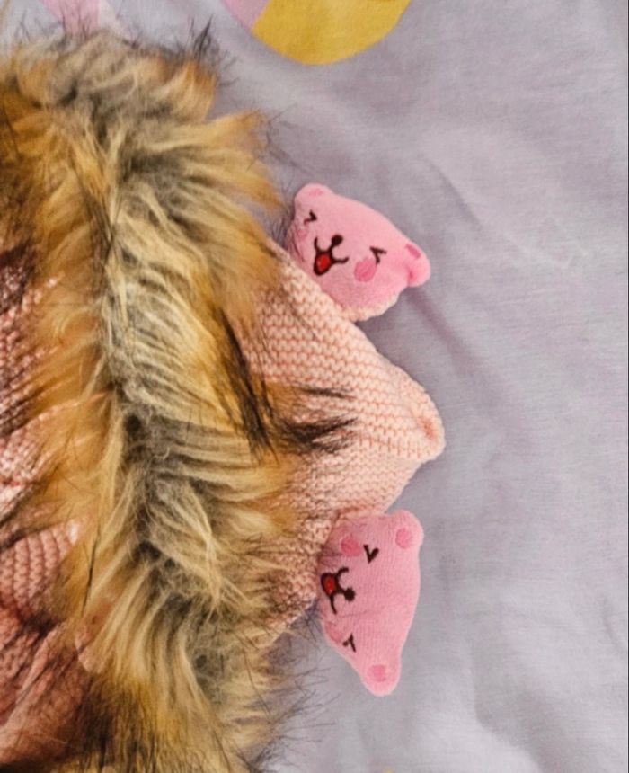 Veste crochet fourrure - photo numéro 3