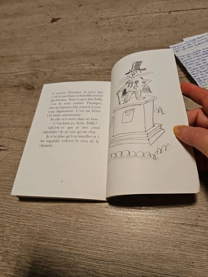 Livre enfant Journal d un chat assassin de Anne Fine, bon état - photo numéro 4