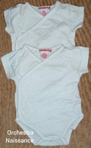 2 bodies Orchestra naissance