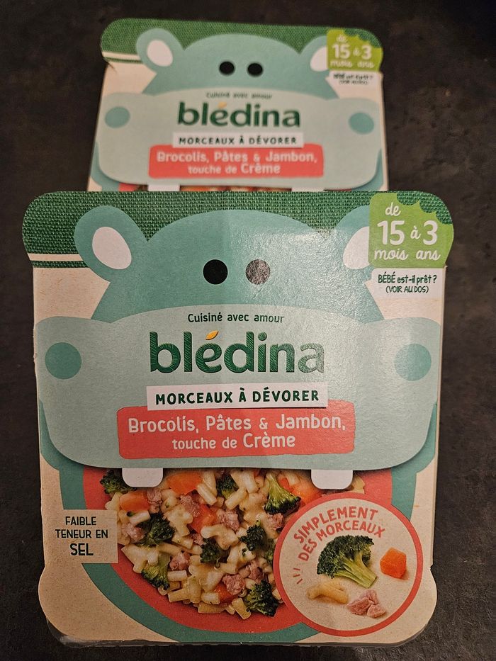 Plat Bledina - photo numéro 5