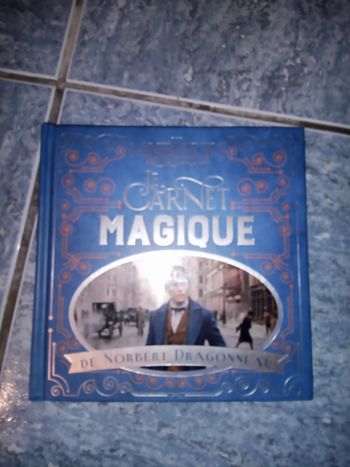 Livre le carnet magique de Norbert dragonneau neuf