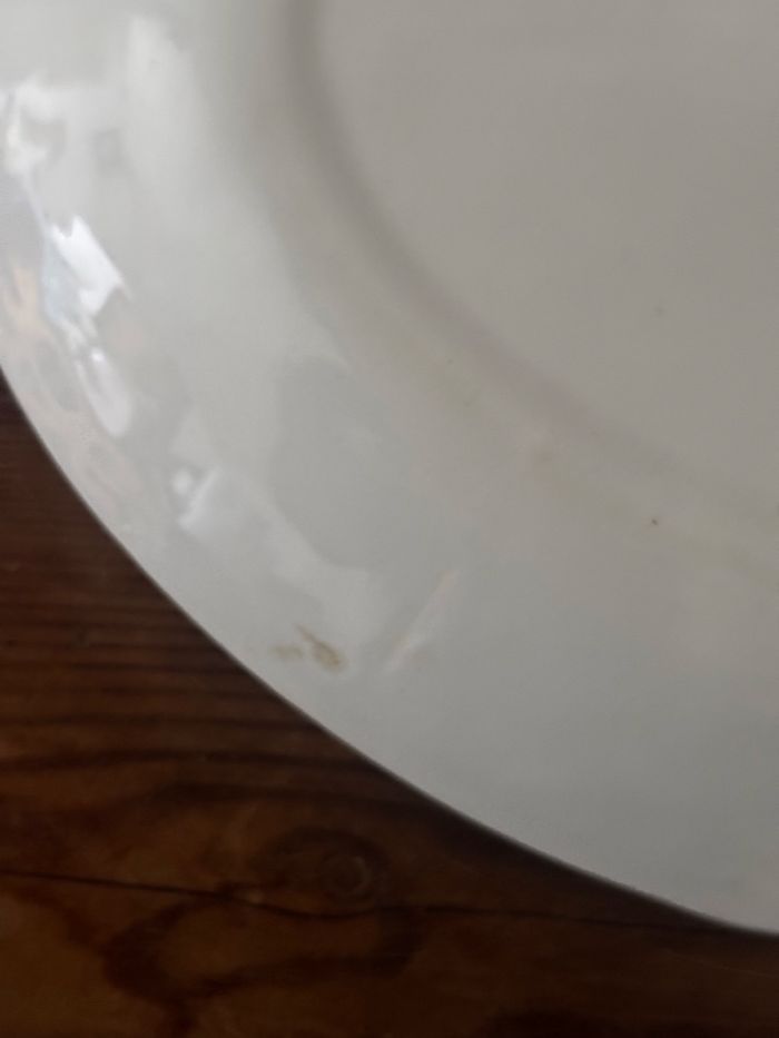 Ravier marque anglaise Ridgway Canterbury - photo numéro 3