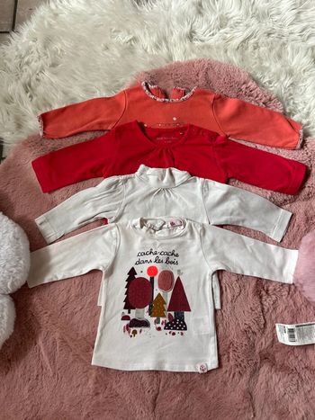 Lot de 4 Tshirts manches longues 3 mois
