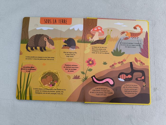 Livre Tes amis les animaux - photo numéro 7