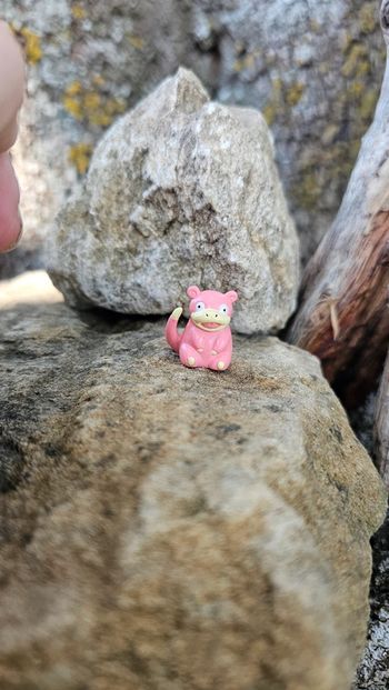 Super petite figurine Pokemon Nintendo Ramoloss