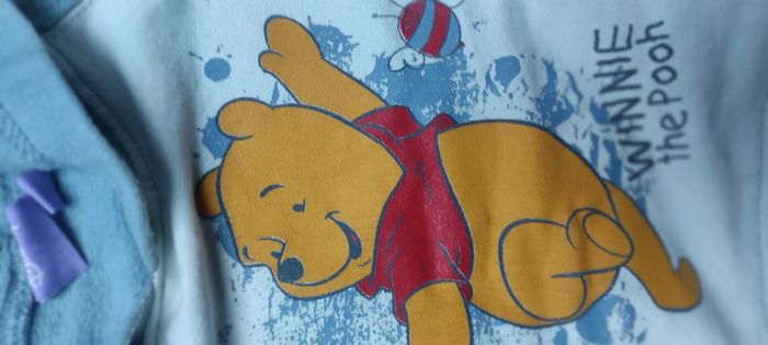 Pull garçon avec capuche Winnie l'ourson Disney 6 mois - photo numéro 3