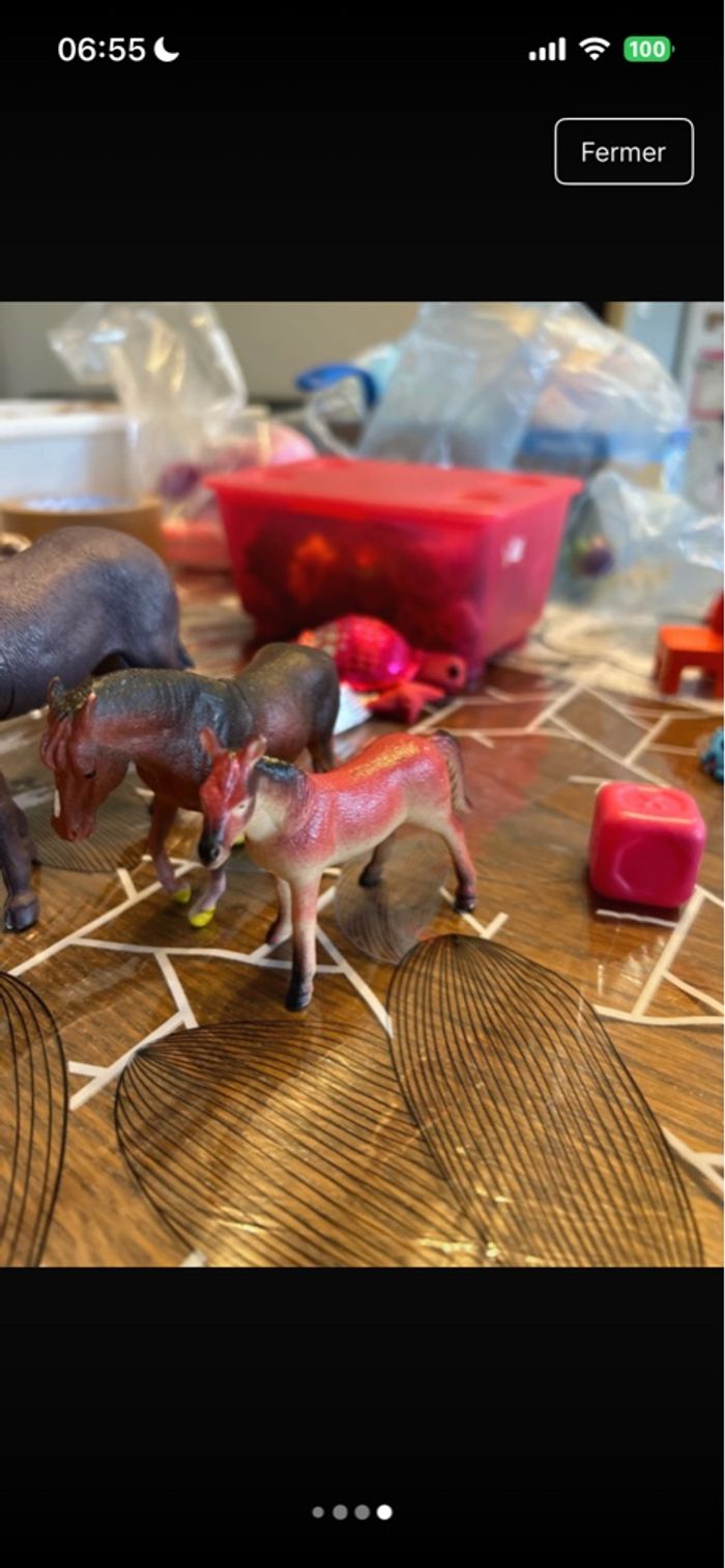 Chevaux - photo numéro 4