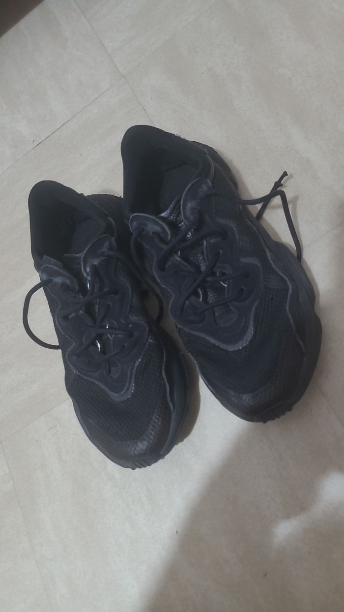 Basket adidias