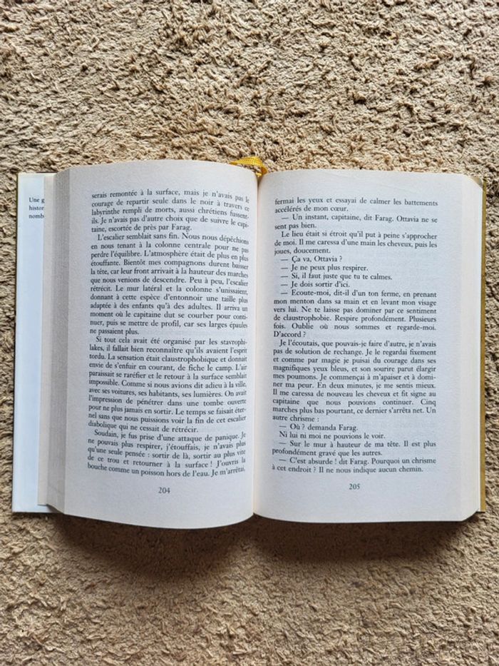 Livre Le Dernier Caton de Matilde Asensi - Thriller historique - photo numéro 7