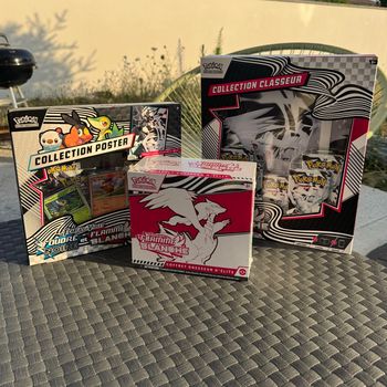 Pokémon pack  flamme blanche ev10.5 ETB+classeur+poster