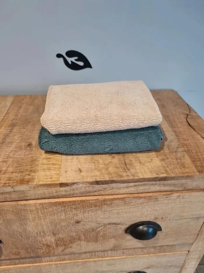 Lot de 2 tapis de bain flocon